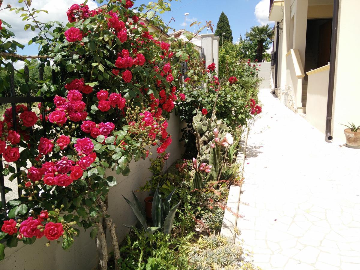 B&B Green Da Maria Matera Exterior photo